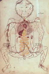 Ms Persan 1555 Diagramme anatomique du système circulatoire et digestif humain, c.1425-50